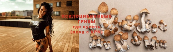 spice Армянск