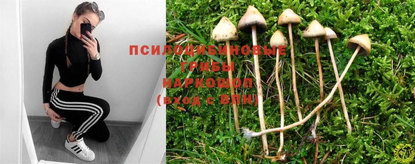 a pvp Рославль