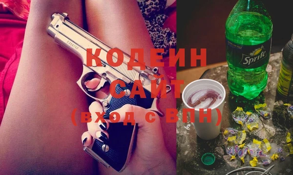 молекула духа Арсеньев