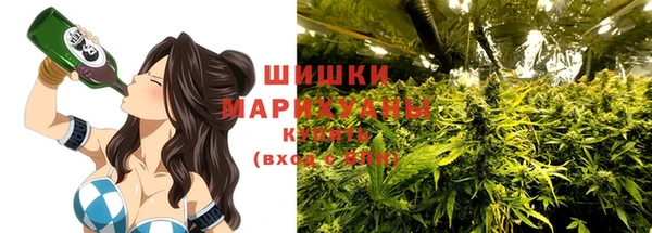 молекула духа Арсеньев