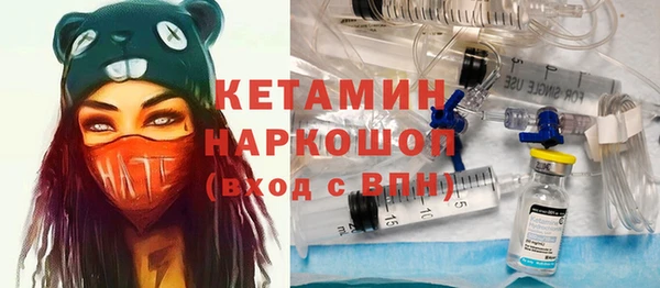 молекула духа Арсеньев