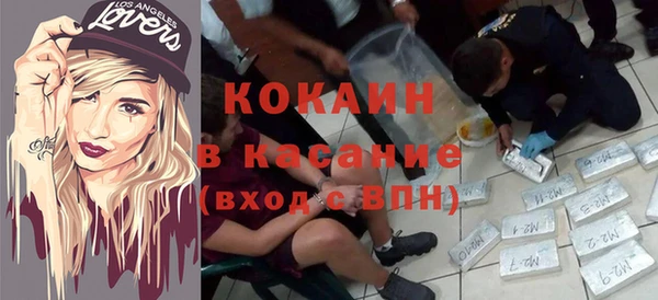 молекула духа Арсеньев
