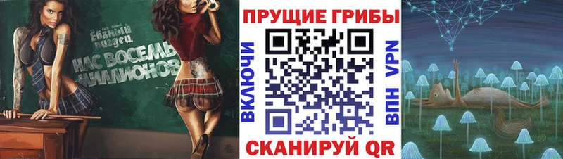 Псилоцибиновые грибы Magic Shrooms  закладки  Лесосибирск 