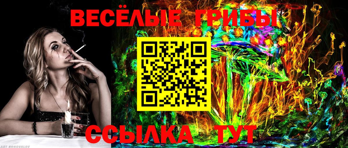Лесосибирск  цены наркотик  Вход с VPN  Псилоцибиновые грибы Magic Shrooms 