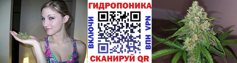 МАРИХУАНА VHQ Лесосибирск