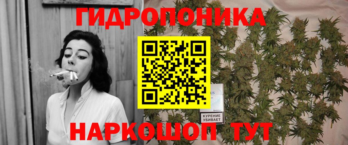 Конопля гибрид Лесосибирск